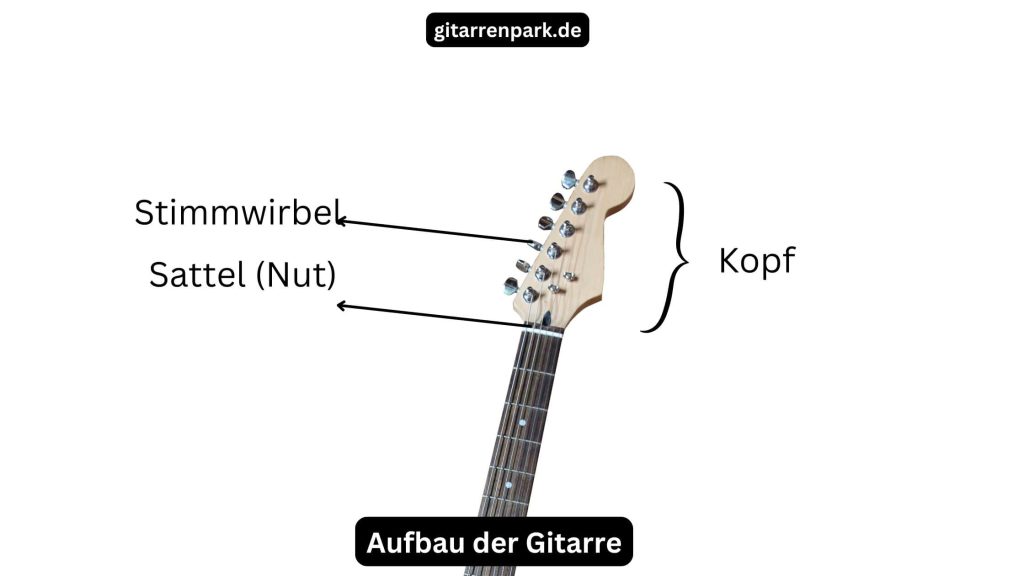 Aufbau der Gitarre (Kopf, Stimmwirbel, Nut)