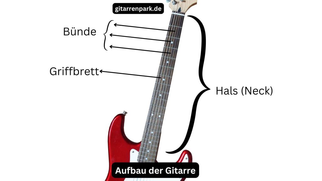 Aufbau der Gitarre (Hals, Griffbrett und Bünde)